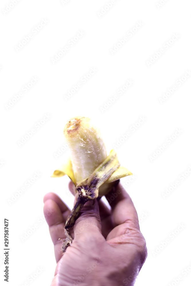 Young woman's hand holding a beautiful, fresh, yellow banana. Isolated on white background.