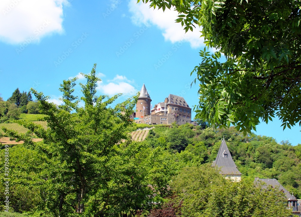 Fototapeta premium Burgen am Rhein