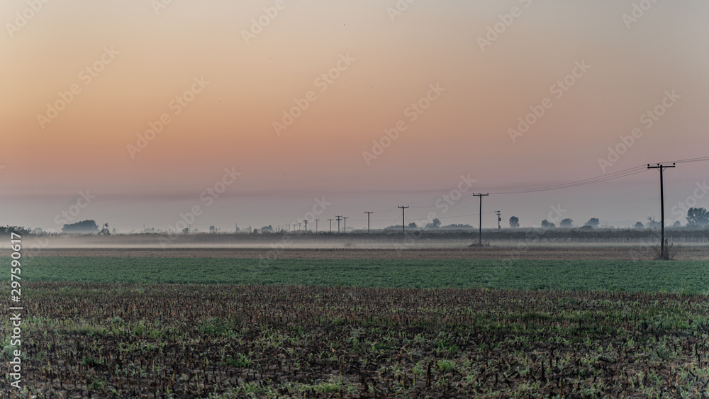 morning fog sunrise at the fields