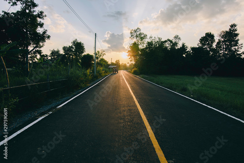 asphalt road with beautiful trees on the sides in autumn