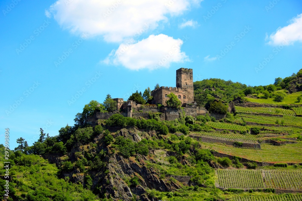 Burgen am Rhein