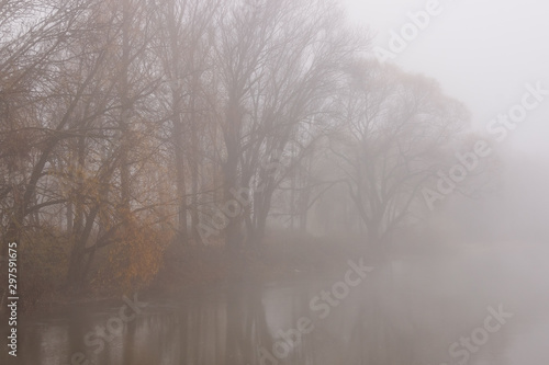 Trees in the fog over the river. Thick fog over the river. Autumn landscape