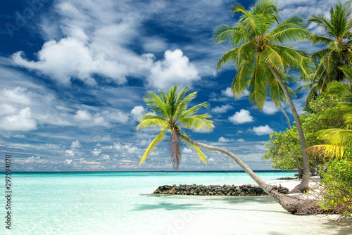 Fototapeta Naklejka Na Ścianę i Meble -  tropical paradise beach