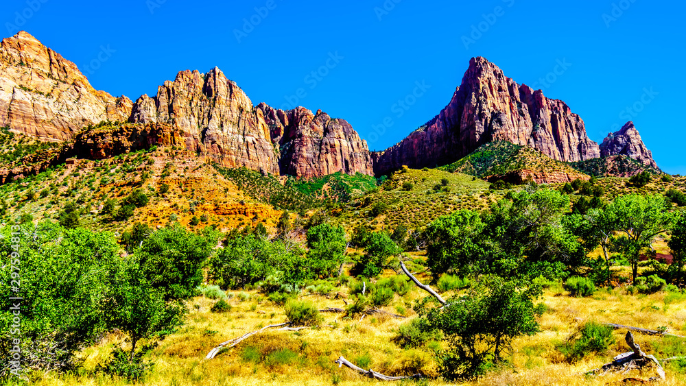 The Watchman and Bridge Mountain viewed from the Pa'rus Trail as it follows along and over the meandering Virgin River in Zion National Park in Utah, USA