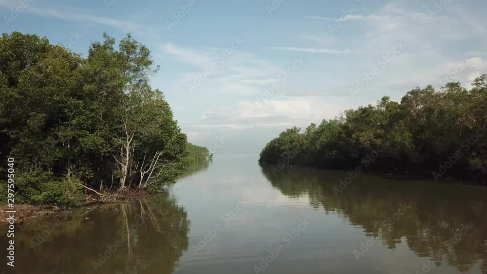 Fly toward the river mouth with mangrove trees around. Fly toward the river mouth with mangrove trees around.