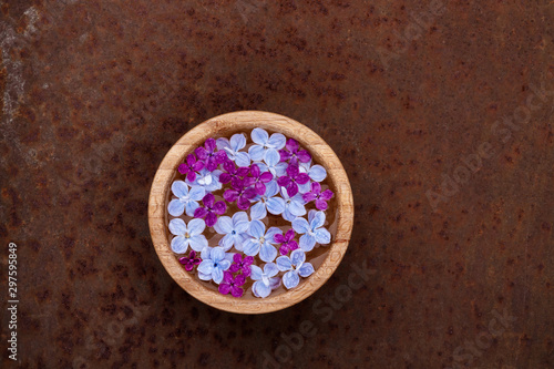 Floating lilac flowers in a bowl of water on a rusty background