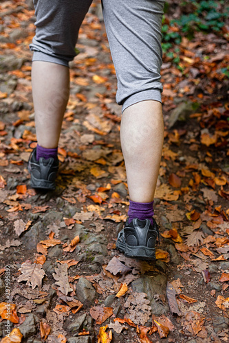 Female legs on a forest hiking trail covered in autumn leaves  going up  back view