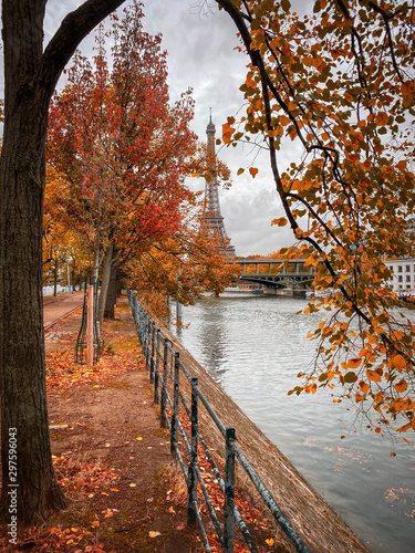 Photography Shot of the Ile aux Cygnes, isle of the Swans, in Paris France on an autumn day,