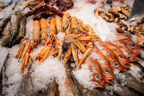 Seafood on ice at the market