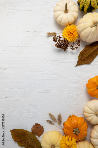 autumn still life with pumpkins and leaves on white background