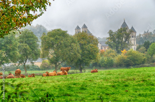 Weide und historisches Kloster am Laacher See in der Eifel