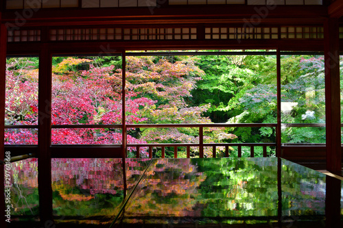 瑠璃光院の床紅葉