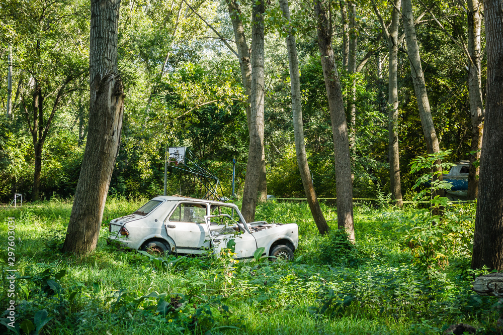 Novi Sad, Serbia - September 29. 2019: The old forest with poplar trees. Repair old cars thrown in the woods.