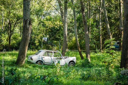 Novi Sad, Serbia - September 29. 2019: The old forest with poplar trees. Repair old cars thrown in the woods.
