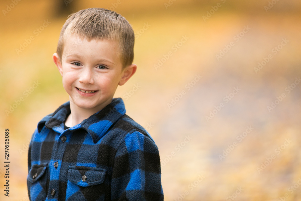 Young boy standing on path with yellow leaves Young boy standing on path with yellow leaves