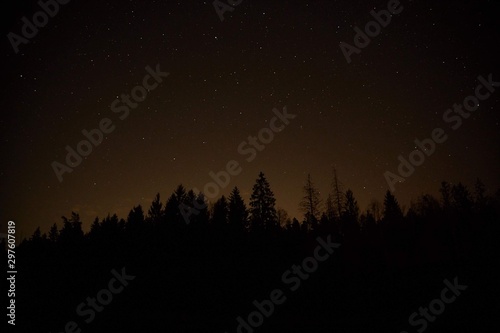 Night stars with illumination behind the forest silhouette