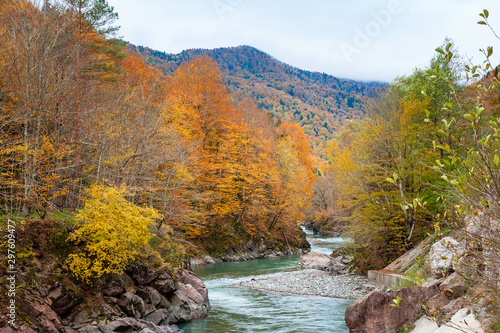 Mountain river in the autumn