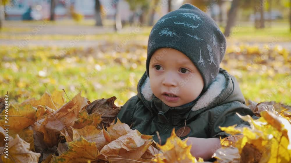 Little baby boy sitting on grass and fallen leaves in park on bright and sunny early autumn day looking at yellow leaf in hand and smiling. Happy baby boy throws autumn leaves and laughs outdoors. Little baby boy sitting on grass and fallen leaves in park on bright and sunny early autumn day looking at yellow leaf in hand and smiling. Happy baby boy throws autumn leaves and laughs outdoors.