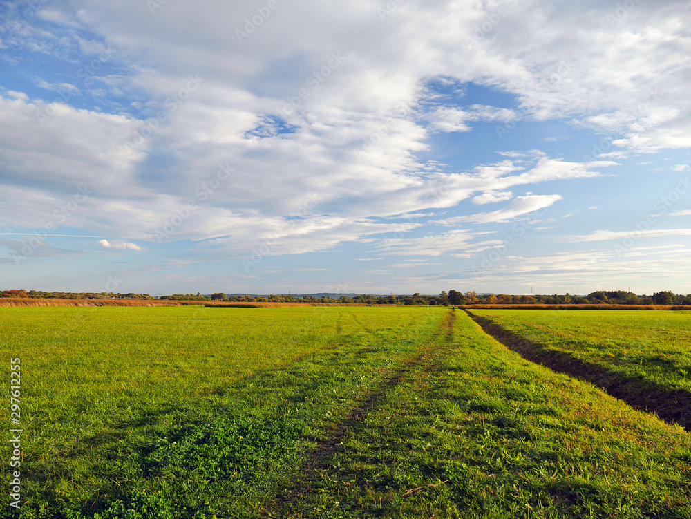 green field and blue sky green field and blue sky