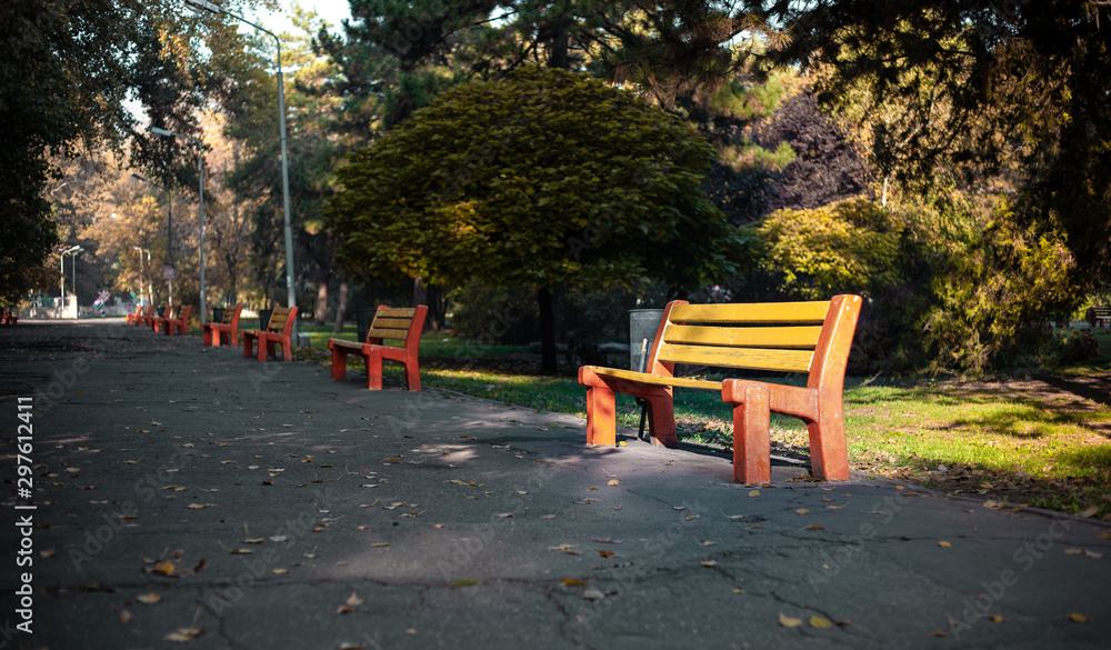 The yellow bench in the park in the alley among the trees and green lawn is illuminated by the sun