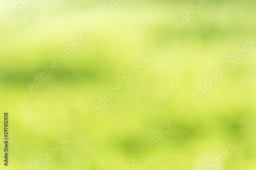 Abstract blurred natural green lawn background, blank green pattern background