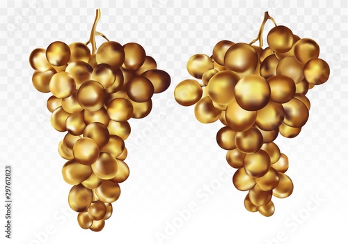 Logo Gold grapes. Wine grapes icon. collectionn two gold icon. Gold fruits. Abstract illustration. 3D vector