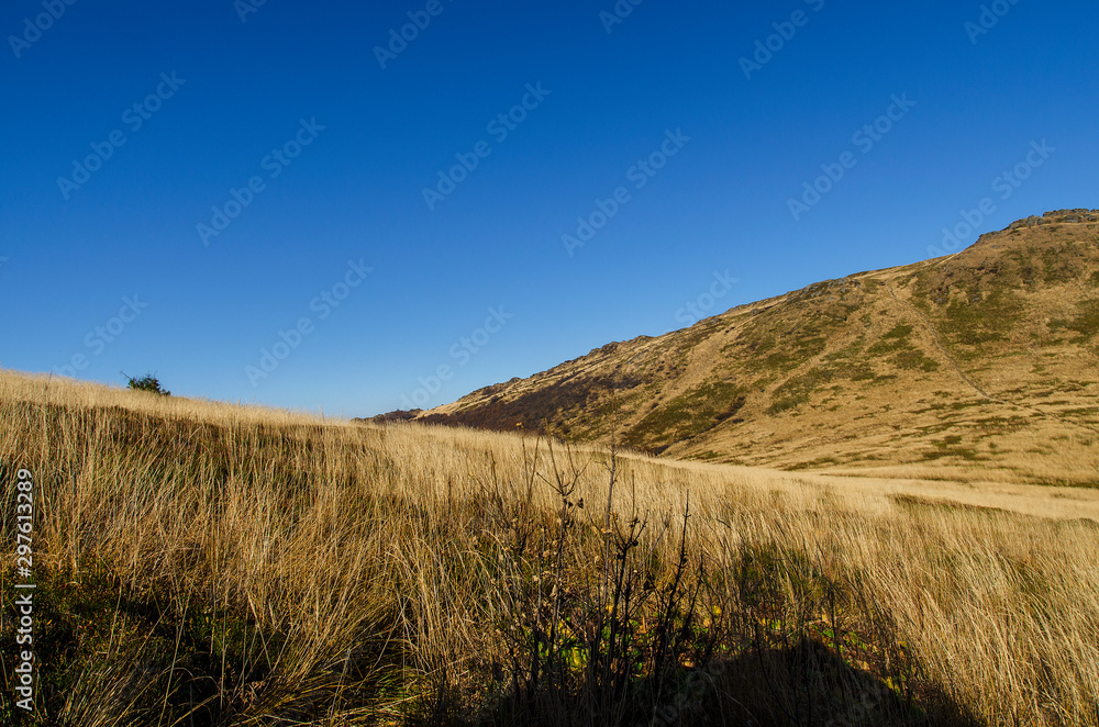 Naklejka premium Bieszczadzka jesień 