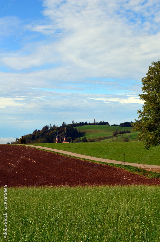 Obraz premium Grüne Landschaft bei St. Peter im Schwarzwald
