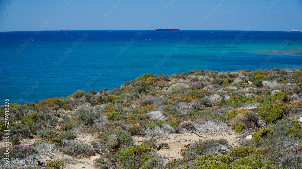 Aegean sea coast and sandy coves and paths Aegean sea coast and sandy coves and paths