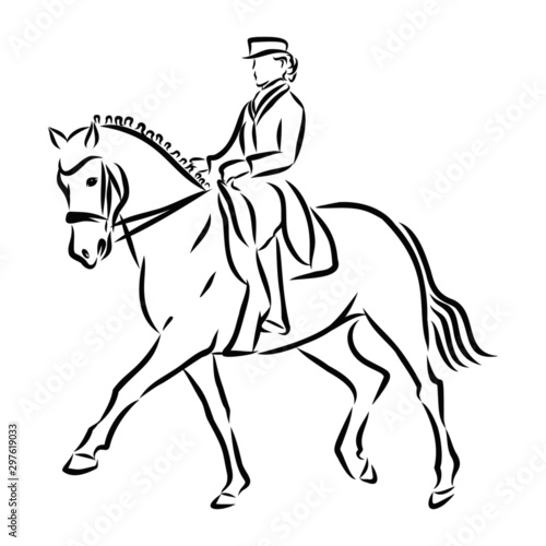 Horsemanship sketch, contour vector illustration 