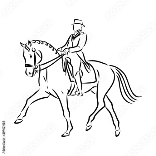 vector illustration of a horse  horsemanship sketch 