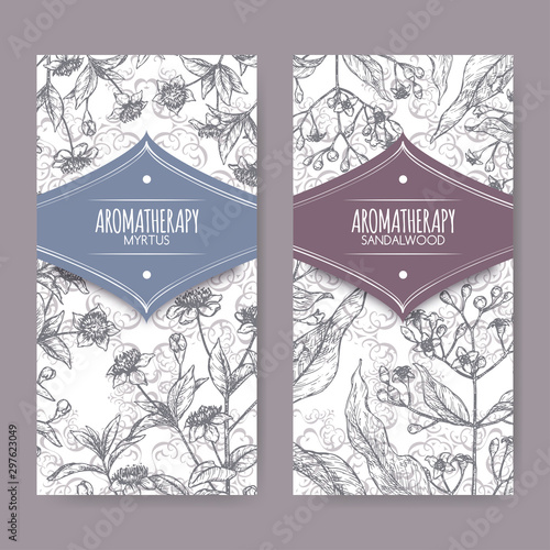 Two labels with Common myrtle aka Myrtus communis and Indian sandalwood aka Santalum album sketch on lace background.