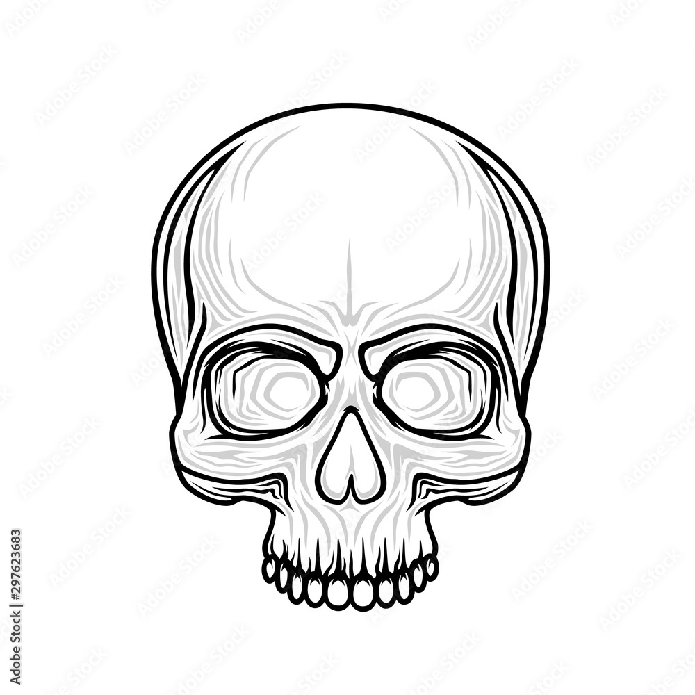 Human skull isolated on black, color object.