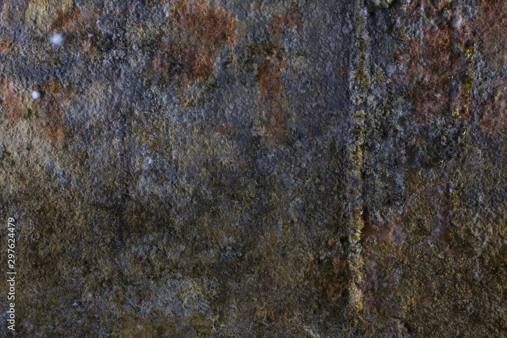 Texture. A fragment of the wall of an old wet basement covered with white mold and stains of rust. Close-up.