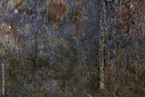 Texture. A fragment of the wall of an old wet basement covered with white mold and stains of rust. Close-up.