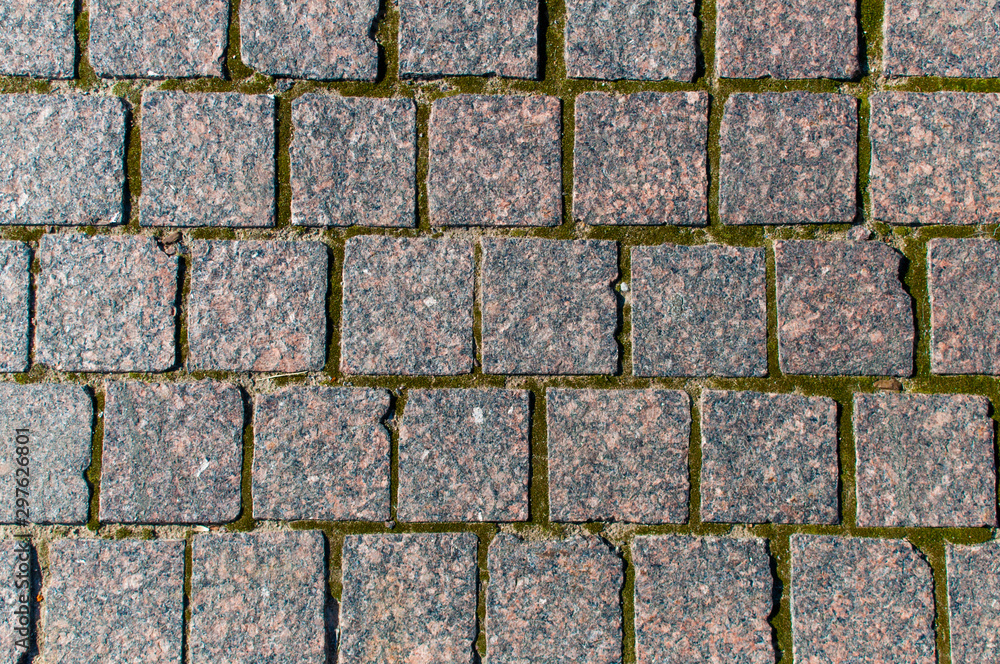 Fototapeta premium Texture of pedestrian cobblestone pavement with moss.