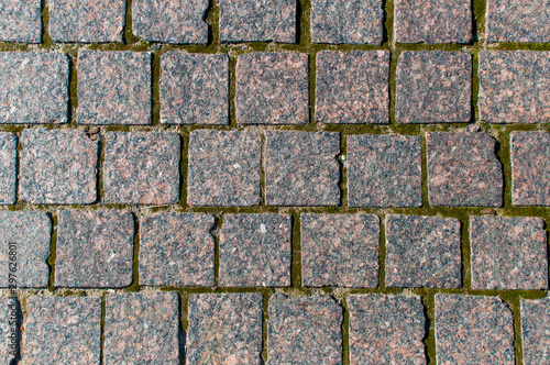 Texture of pedestrian cobblestone pavement with moss.