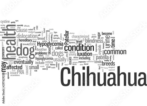Issues In Chihuahua Health