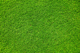 Artificial grass background , close up