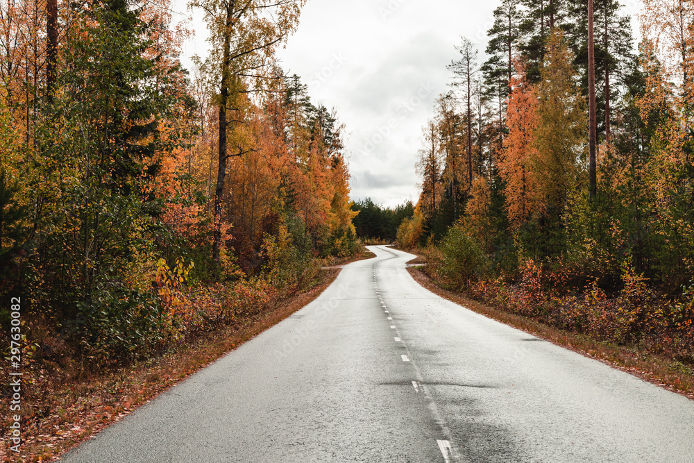 Beautiful scene of highway through Autumn forest.