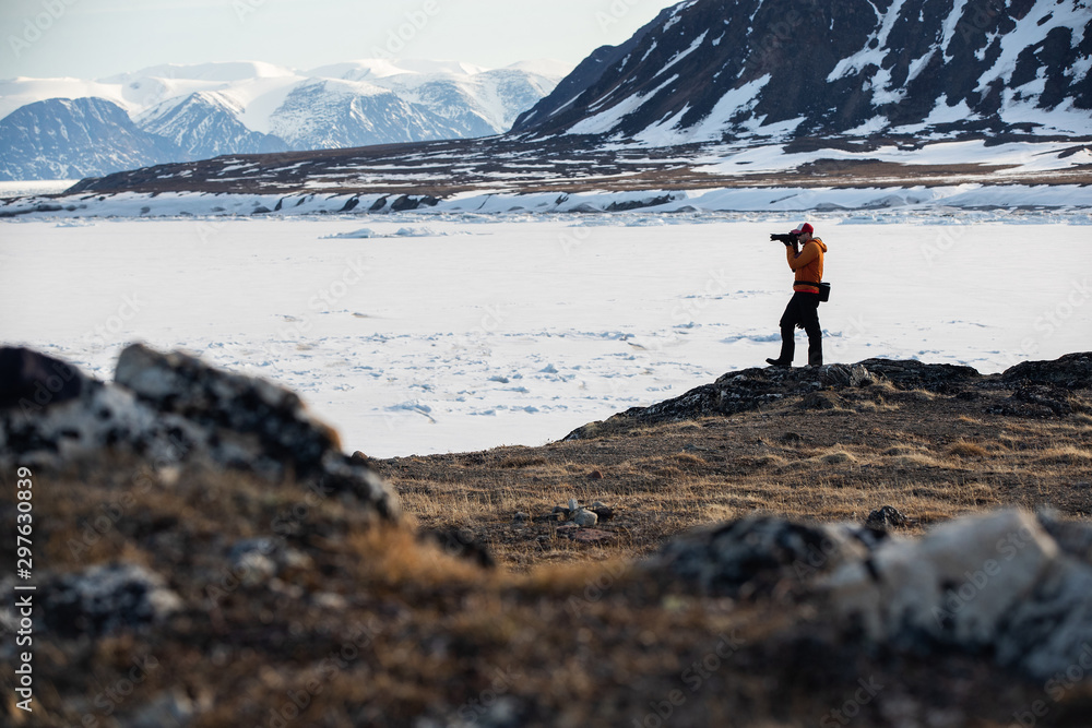 Wildlife photographers on Bylot Island near Pond Inlet, Nunavut, Canada