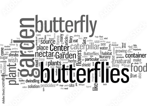 Invite Butterflies to Your Garden
