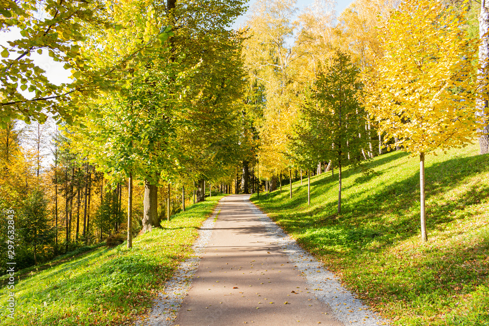 The path leads in one directions. The way to the autumn park in the centre of the forest. The path leads in one directions. The way to the autumn park in the centre of the forest.