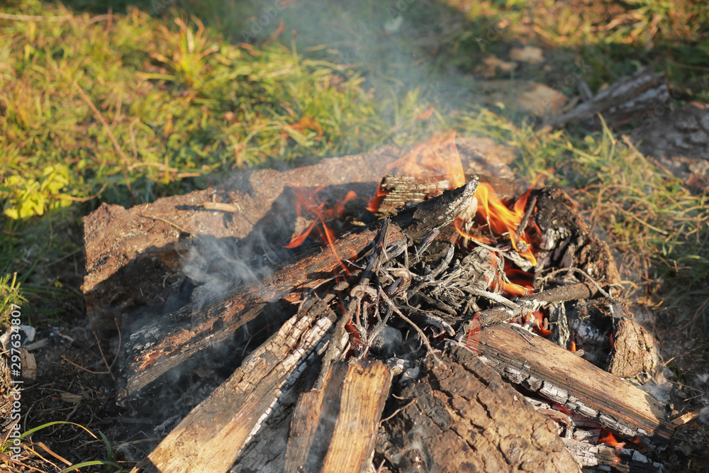 Delicious food in the forest in a pan. Dinner in the woods in the fresh air. Camping, camping. Food at the stake - barbecue grilled sausages. Bread with milk in the meadow. Tasty Camping Lunch Delicious food in the forest in a pan. Dinner in the woods in the fresh air. Camping, camping. Food at the stake - barbecue grilled sausages. Bread with milk in the meadow. Tasty Camping Lunch