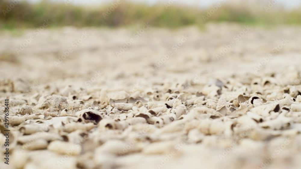 MACRO, DEPTH OF FIELD: Dry mud cracks shining in heat create an interesting landscape. Rugged rocky terrain providing no refuge for plants or animals. Global warming drying out once fertile land. MACRO, DEPTH OF FIELD: Dry mud cracks shining in heat create an interesting landscape. Rugged rocky terrain providing no refuge for plants or animals. Global warming drying out once fertile land.