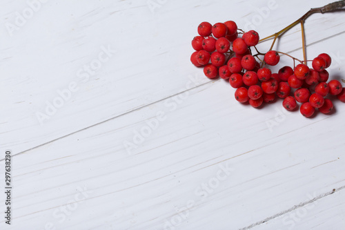 Bunches of red rowan. They lie on a white painted wooden surface.