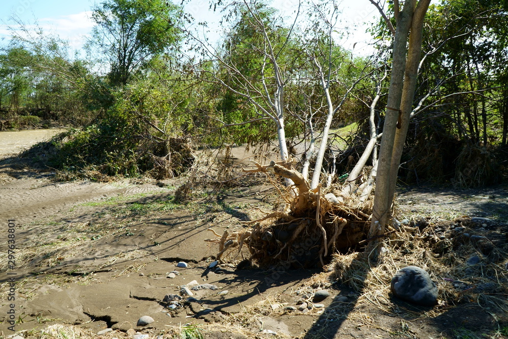 Flood damage caused by Typhoon No.19 Flood damage caused by Typhoon No.19