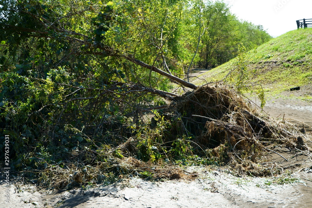 Flood damage caused by Typhoon No.19 