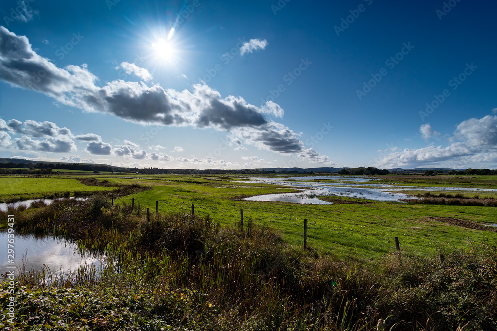 Wetlands nature reserve in countryside under strong sunlight