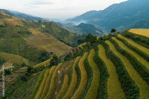 Rice green field at Mucangchai Vietnam